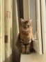 Mia (10)